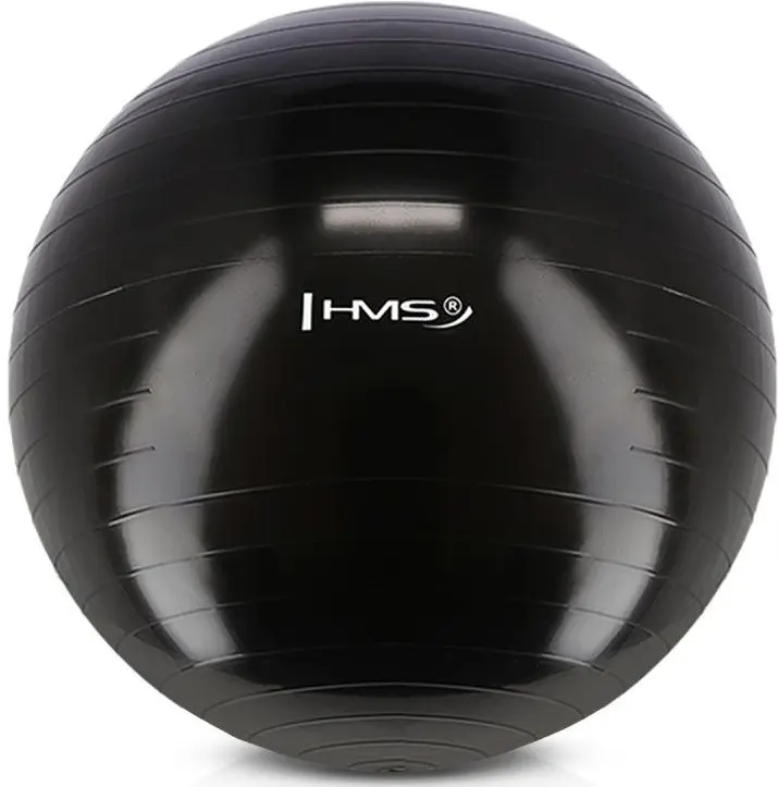 Фитбол Hms YB01 55cm (Black)