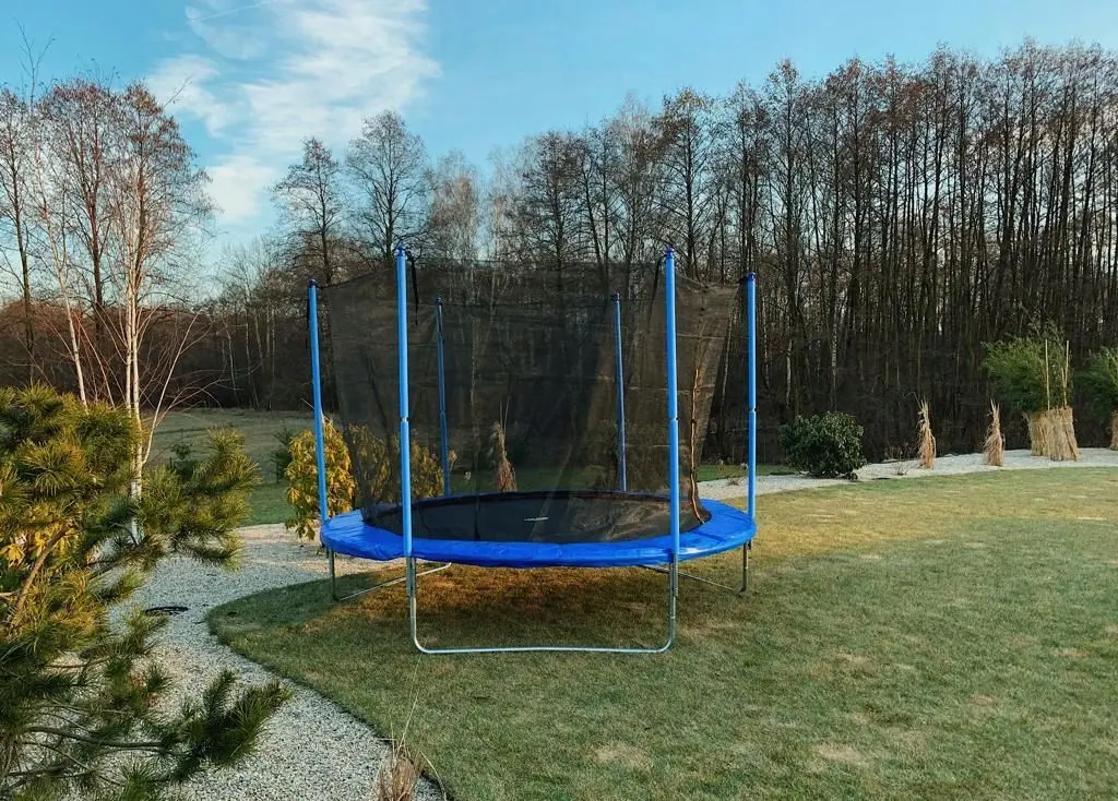 Батут с защитной сеткой Dollo Sport 312 (Black/Blue) - 9