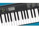 Sintetizator Casio CTK-240 (Black)