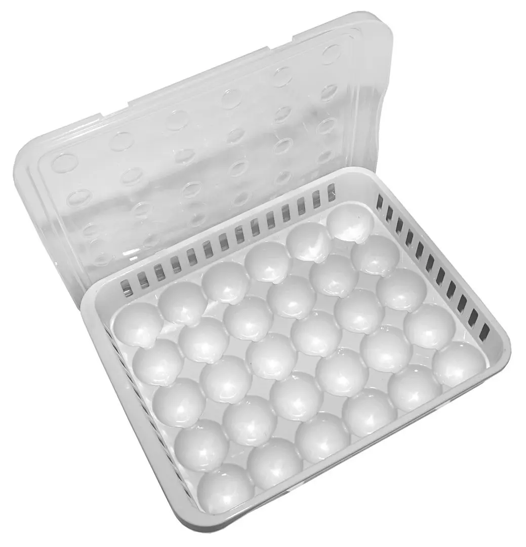 Recipient pentru ouă + set forme de copt Polite 7260/M178