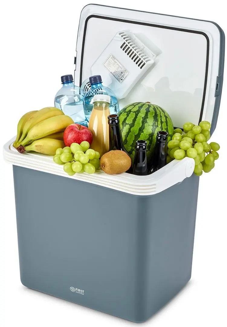 Frigider auto First FA-5170 (Gray)