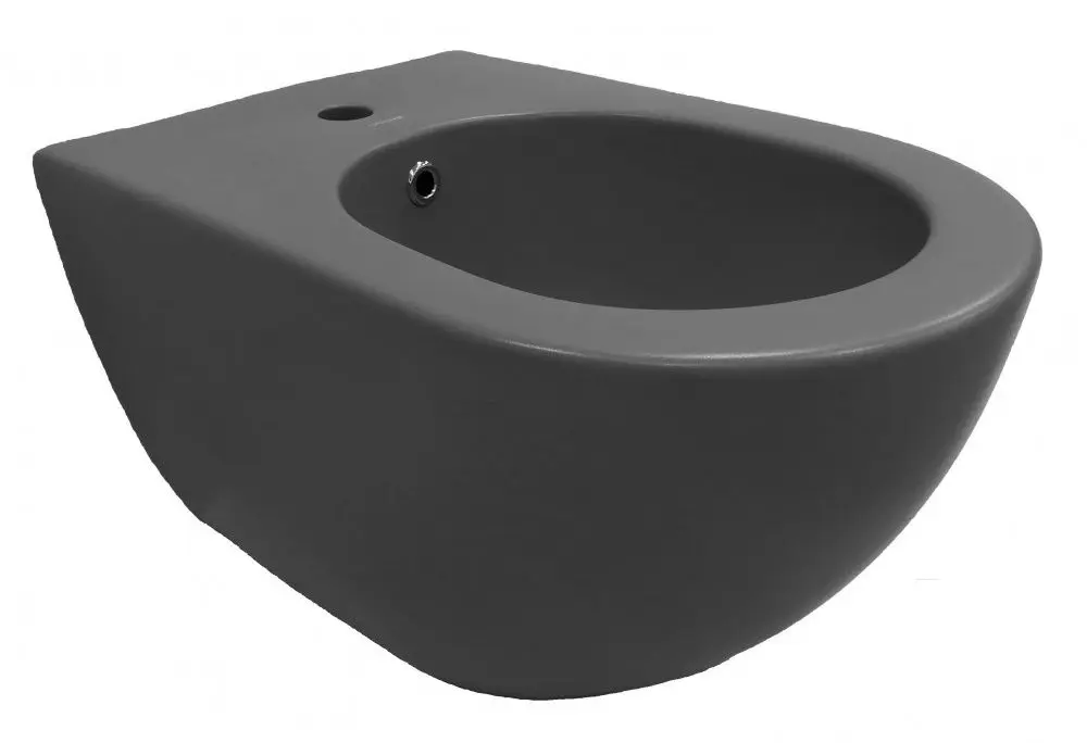 Биде подвесное Creavit Free FE510-00AM00E-0000 (Anthracite Matt)