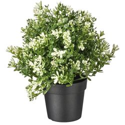 Planta artificiala Ikea Fejka 9cm (Cimbru) Thumb