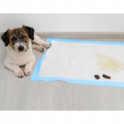 Set scutece de unica folosinta pentru animale Purlov 21599 60x40 100pcs Thumb