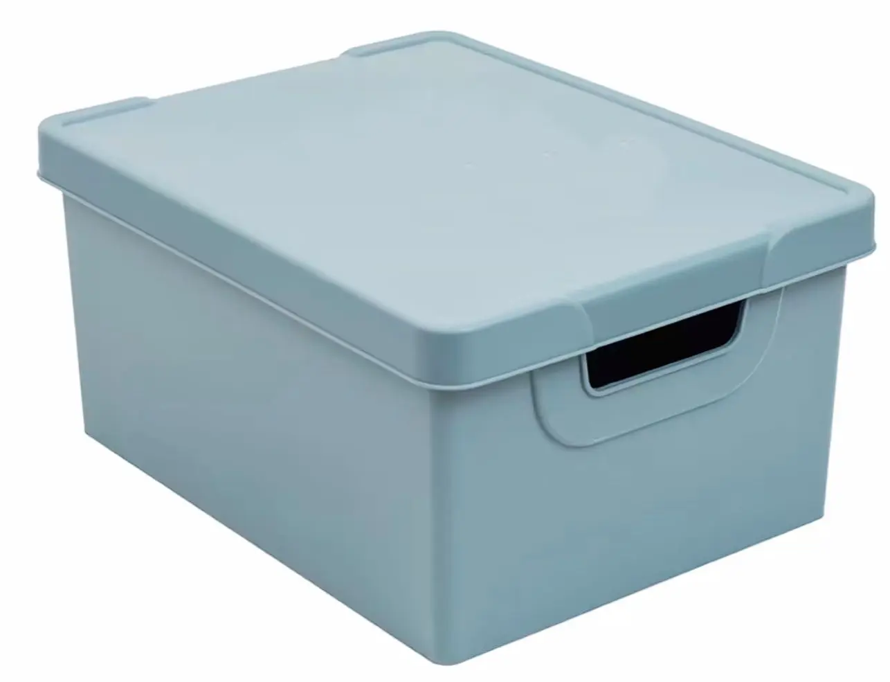 Коробка с крышкой Proff 2601834