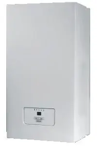 Cazan electric Protherm RAY 12 KR