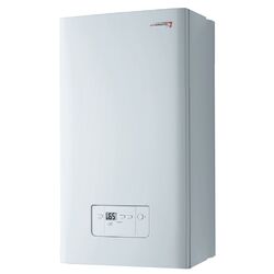 Газовый котел Protherm Gepard 23MTV Thumb