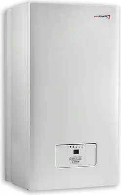 Cazan electric Protherm RAY 21KR