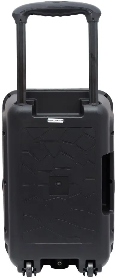 Sistem acustic portabil Samus Studio 12 (Black)