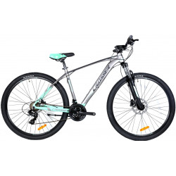 Bicicleta Crosser X880 29 19 21S Shimano + Hydr Logan (Gray/Green)