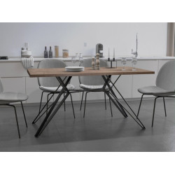 Masa DP Selena 180x90cm (Brown)