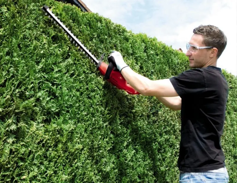 Foarfece de taiat gard viu Einhell GH-EH 4245 (34.034.60)