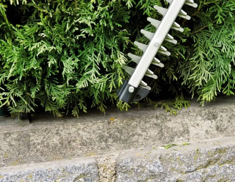 Foarfece de taiat gard viu Einhell GH-EH 4245 (34.034.60)