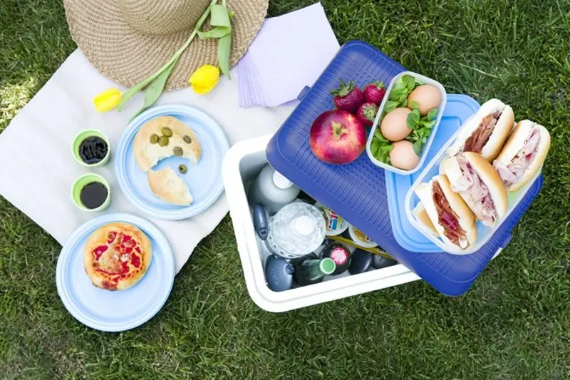 Geantă frigorifică GioStyle Bravo 28