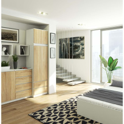 Шкаф с антресолью Akord S60 2D2SZ Star (White/Sonoma Oak) Thumb