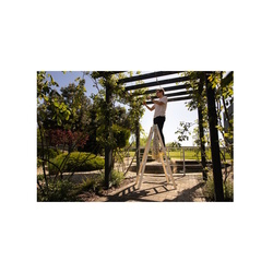 Двухсекционная лестница Strend Pro 251417 Thumb