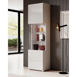 Витрина Helvetia Toledo №05 1D (White/White Gloss)