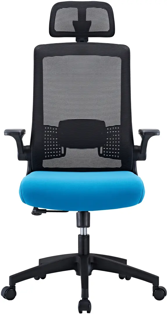 Fotoliu Custo Santander (Black/Blue)