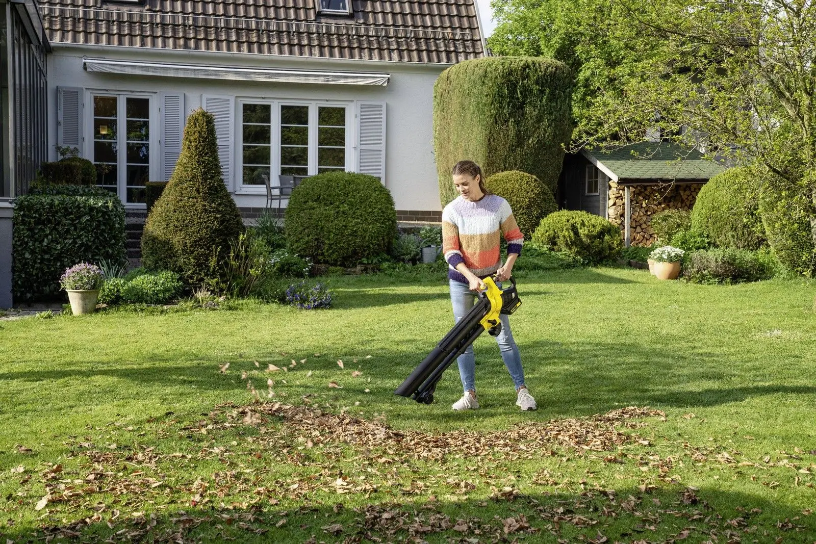 Suflanta-aspirator Karcher BLV 18-200 Battery