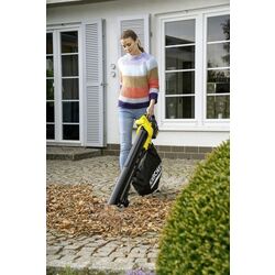 Suflanta-aspirator Karcher BLV 18-200 Battery Thumb