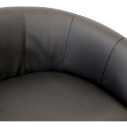Диван DP Club Duo Eco 30 (Black) Thumb