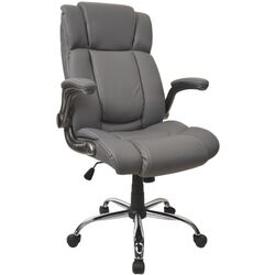 Fotoliu DP BX-3702 Eco (Gray)