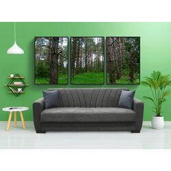 Canapea Fabulous Poem 3-locuri 50-002 (Dark Gray)