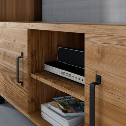 Тумба РТВ Helvetia Olin №41 2D (Spruce Appenzeller/Black Matt) Thumb