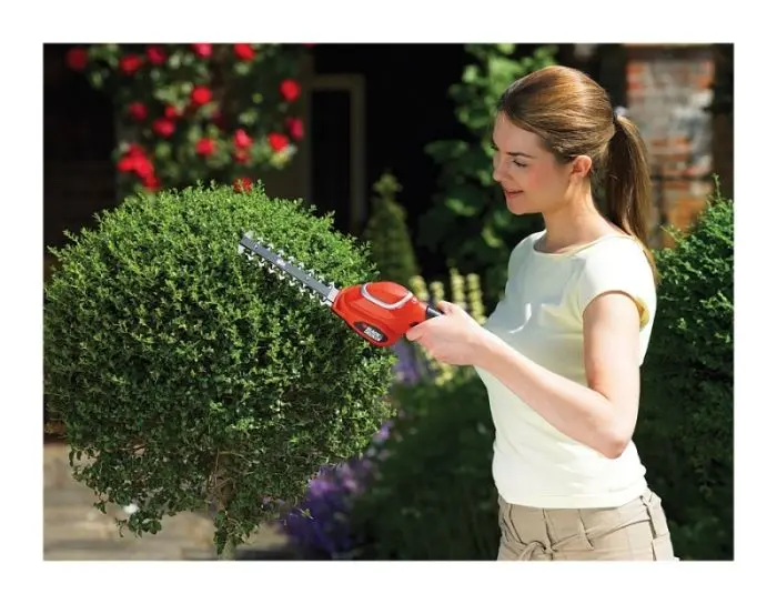 Foarfecă cu acumulator Black&Decker GSL700KIT-QW