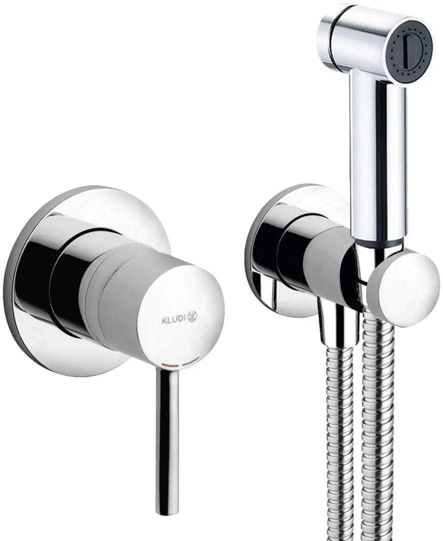 Гигиенический душ Kludi Bozz 389980576 (Chrome)