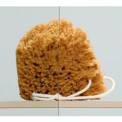 Cabină de duș Radaway Essenza New KDJ+S Left (120x120) Thumb