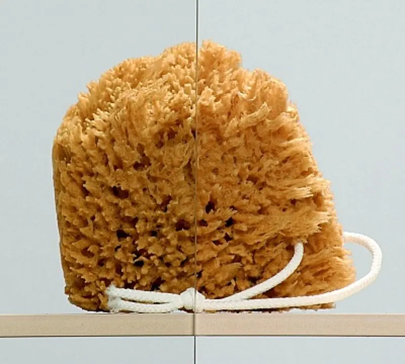 Cabină de duș Radaway Essenza New KDJ+S Left (120x120)