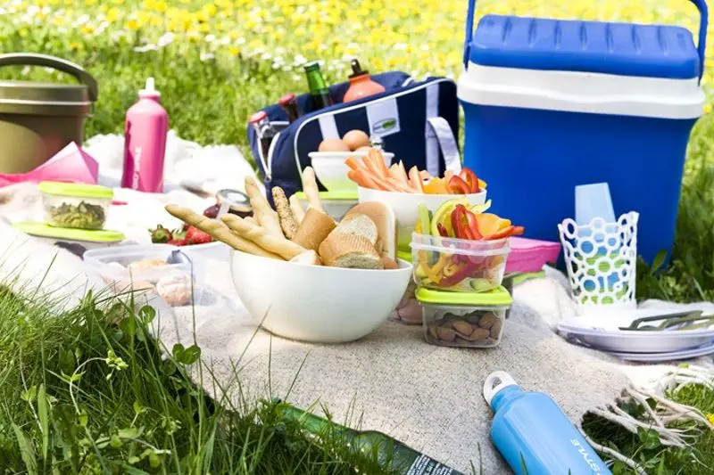 Geantă frigorifică GioStyle Bravo 32