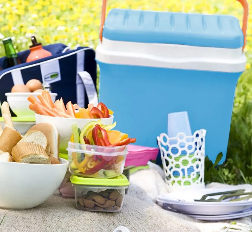 Geantă frigorifică GioStyle Fiesta 30