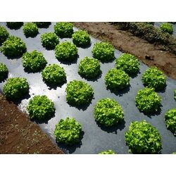 Мyльчиpyющaя плeнкa Sera 25 Black (1x2000м) Thumb