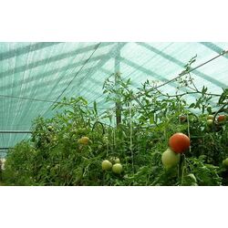 Сетка затеняющая Juta 50% 6.24x50 (Dark Green) Thumb