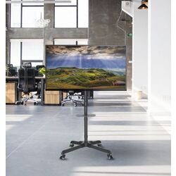 Suport de podea pentru televizor Reflecta TV Stand 55P 37 Thumb