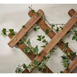 Jardiniera de flori Ikea Askholmen cu spalier (Maro Inchis) Thumb