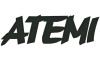 Atemi