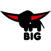  BIG