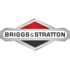  Briggs & Stratton