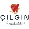  Cilgin