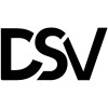  DSV