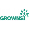  Grownsy