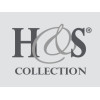  H&S