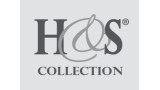 H&S