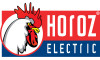 Horoz Electric