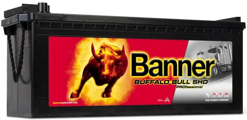 Acumulator Banner Buffalo Bull SHD PROfessional 145Ah 800A 645 03