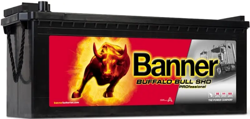 Acumulator Banner Buffalo Bull SHD PROfessional 180Ah 1000A 680 08