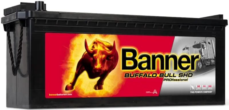 Аккумулятор Banner Buffalo Bull SHD PROfessional 225Ah 1150A 725 03